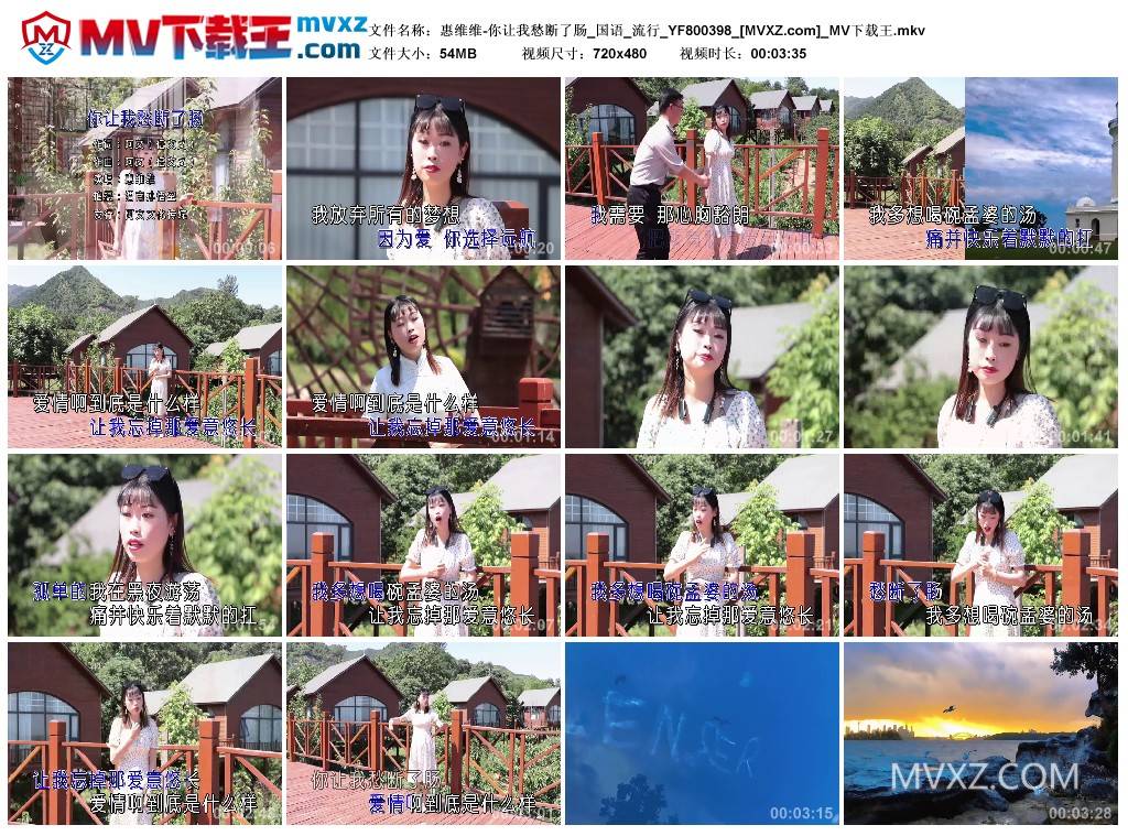 惠维维-你让我愁断了肠_国语_流行_YF800398